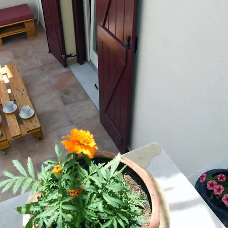 Little Yard & #1 דירה